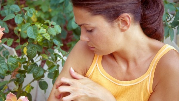 Гусеничный дерматит симптомы и лечение